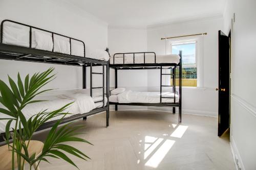 悉尼VENUS Harbourside - FEMALE ONLY HOSTEL的一间卧室设有两张双层床和盆栽植物