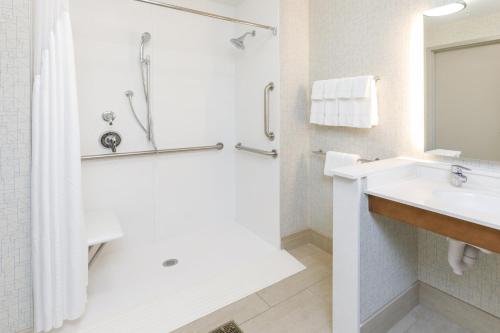 斯特布里奇Holiday Inn Express & Suites - Sturbridge, an IHG Hotel的一间带水槽和淋浴的浴室