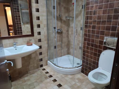 布拉索夫Apartament 804- Etaj 8 in incinta Alpin Resort - gazda privata的带淋浴、卫生间和盥洗盆的浴室