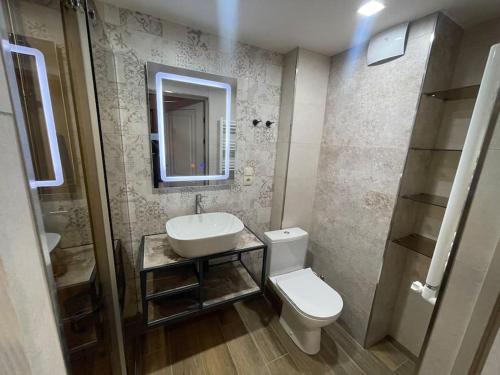 萨克德佐尔镇Apartment VR home terrazza的一间带水槽、卫生间和镜子的浴室