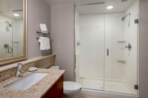 费尔法克斯费尔法克斯市万豪酒店的带淋浴、盥洗盆和卫生间的浴室