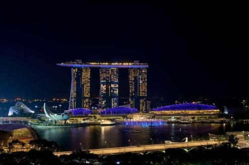 新加坡Peninsula Excelsior Singapore, A Wyndham Hotel的享有市景的夜景,设有大型建筑