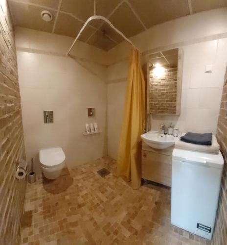 维尔扬迪Kesklinna Apartement的一间带卫生间和水槽的浴室
