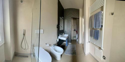 阿斯蒂Piccolo Loft in centro Asti的浴室配有卫生间、盥洗盆和淋浴。