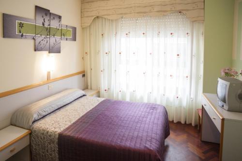 拉科鲁尼亚水晶1号酒店的一间卧室设有一张床、一台电视和一个窗口。