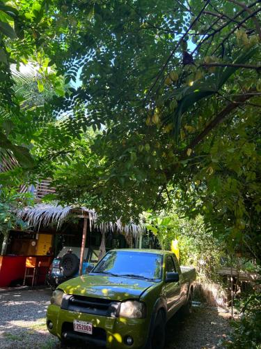 卡维塔Orgánico Punta Riel的停在一束树下的一个绿色卡车
