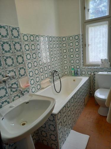 德辛Vila Kotlářská的带浴缸、盥洗盆和卫生间的浴室