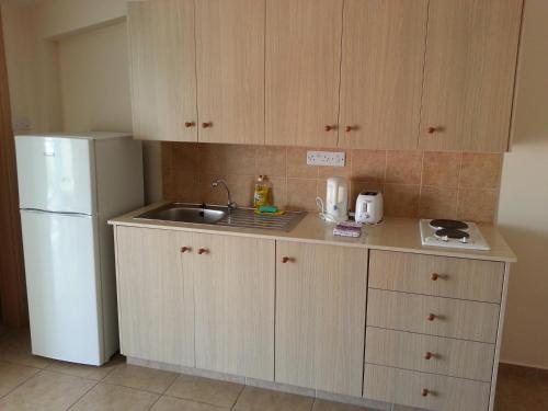 拉纳卡圣拉萨洛斯公寓的一间带水槽和冰箱的小厨房