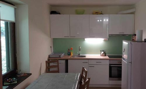 佐尔尼耶戈迪Apartma Anja的厨房配有白色橱柜、桌子和冰箱。