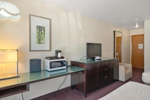莱文沃思楔形山旅馆的酒店客房配有带微波炉的书桌和电视。