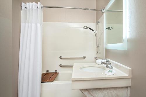 赫尔希万豪春季山丘套房公园附近赫尔希酒店的白色的浴室设有水槽和淋浴。