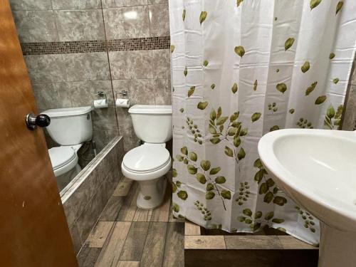 安托法加斯塔Hostal Los Salares的浴室设有卫生间、水槽和淋浴帘