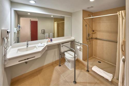 曼萨尼约都市快报曼萨尼约酒店的一间带水槽、卫生间和淋浴的浴室