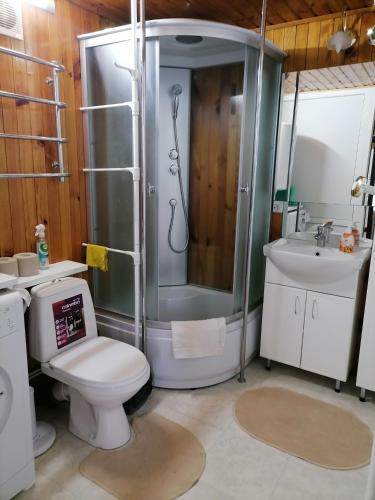 PogrebyЗазимье, Летний дом的带淋浴、卫生间和盥洗盆的浴室