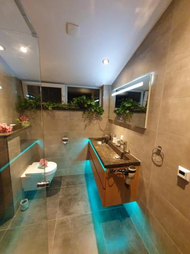 阿纳姆B&B Immerloopark的浴室配有水槽和植物卫生间