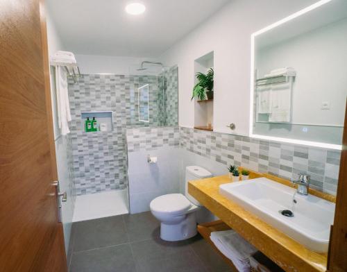 洛西洛斯CASA EMBLEMÁTICA MARUCA y LELI的浴室配有卫生间、盥洗盆和淋浴。