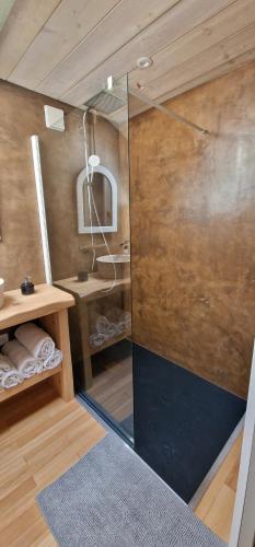 TosseJack's Lodge - La Grange的带淋浴、水槽和镜子的浴室