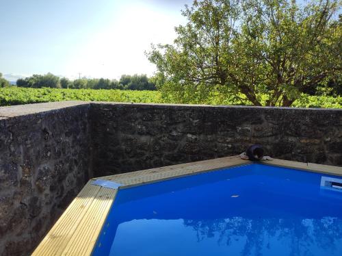 塞里尼昂-迪孔塔Mas du Vieux Moulin的蓝色的游泳池,设有石墙和木板凳