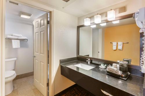 胡尔伯克亚利桑那贝斯特韦斯特酒店的一间带水槽、卫生间和镜子的浴室