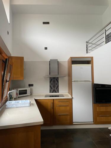 LousameCasa da Ponte San Francisco的厨房配有白色冰箱和木制橱柜。