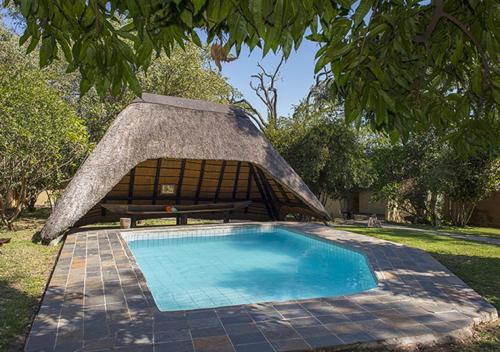 KongolaGondwana Namushasha River Lodge的一个带茅草屋顶的小游泳池