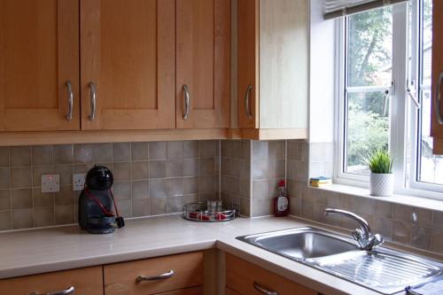 牛津Spacious 2 bedroom apartment in Central Oxford的厨房配有木制橱柜、水槽和窗户。