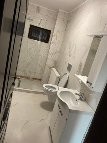 奥拉迪亚Casa Villa的浴室配有卫生间、盥洗盆和淋浴。
