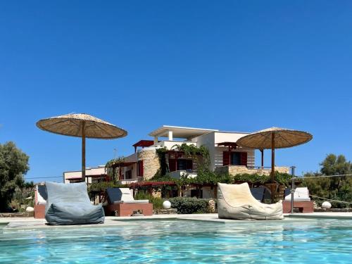 布拉卡阿可体普拉卡酒店的一个带椅子和遮阳伞的游泳池的度假酒店