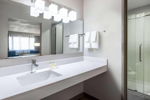 苏福尔斯苏瀑戴斯酒店的一间带水槽和镜子的浴室
