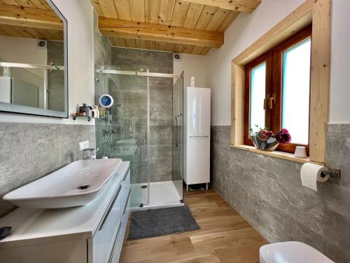 布伦纳Domki na Szlaku的一间带水槽和玻璃淋浴的浴室