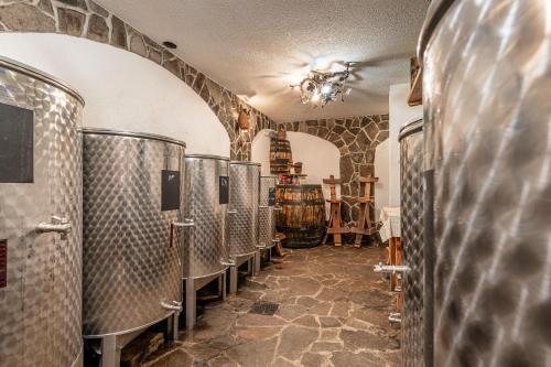 ČrnomeljVineyard Cottage Stepan - Happy Rentals的酒窖,酒窖里放着一排酒桶