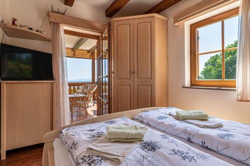 ČrnomeljVineyard Cottage Stepan - Happy Rentals的一间带两张床的卧室和一个阳台