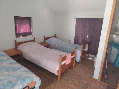 特拉夫尼克33 Lipe的小房间设有两张床和窗户