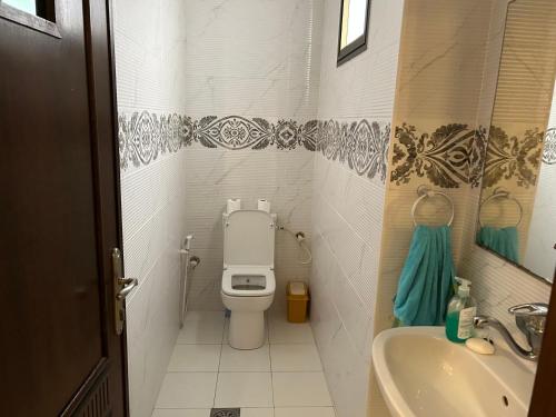 加沙See view rooftop apartment的一间带卫生间和水槽的小浴室