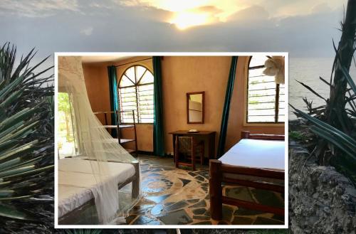 ShimoniRoom in Villa - 38m2 Turtle Suite in a 560 m2 Villa, Indian Ocean View的一间卧室设有床、窗户和植物