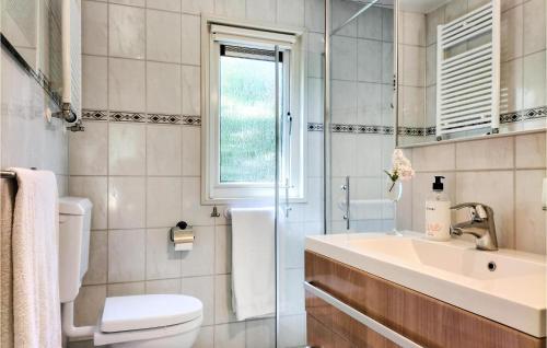 福尔登Cozy Home In Vorden With Kitchen的一间带水槽和卫生间的浴室以及窗户。