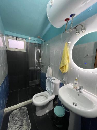 格勒姆House for rent Jurgen的一间带卫生间、水槽和镜子的浴室