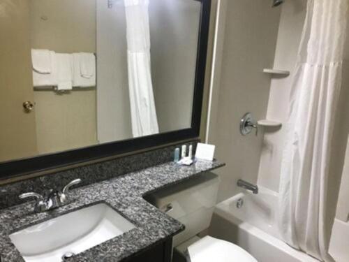 米尔堡Clarion Hotel Fort Mill Near Amusement Park的一间带水槽、卫生间和镜子的浴室