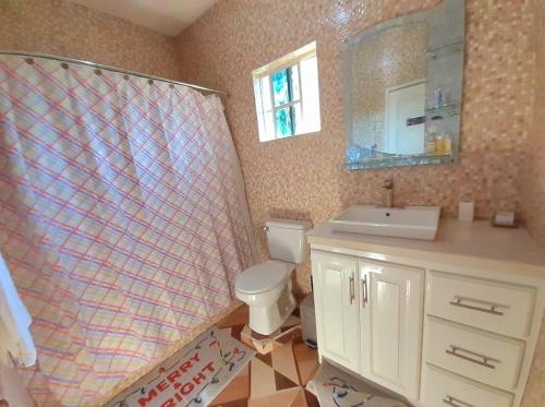特雷热比奇Mango tree Oasis的一间带卫生间、水槽和镜子的浴室