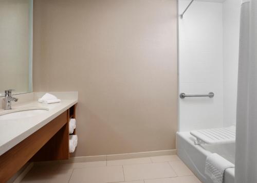 Mount Lebanon迈特黎巴嫩匹兹堡万豪斯普瑞鹤尔酒店的一间带水槽和淋浴的浴室