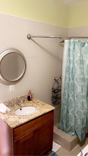 拿骚Luxury one bed room apartment的一间带水槽和淋浴帘的浴室
