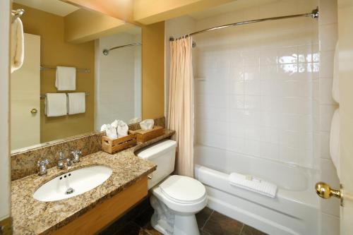菲尔德翡翠湖山林小屋度假村的一间带水槽、卫生间和淋浴的浴室