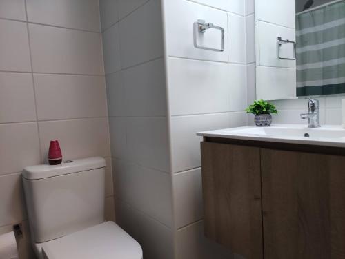 圣地亚哥¡Comodísimo y práctico depto!的白色的浴室设有卫生间和水槽。
