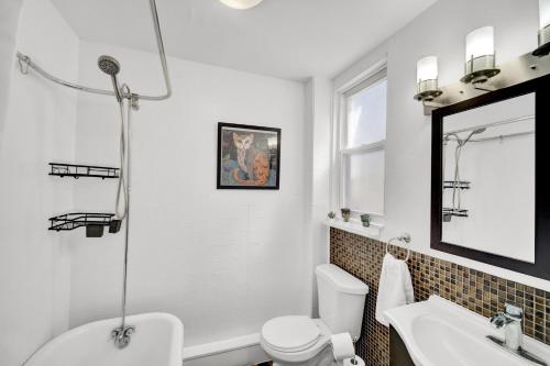 芝加哥Logan Square Coach House的浴室配有盥洗池、卫生间和镜子。