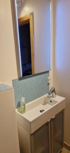 布拉布兰Tinymansion的一间带水槽和镜子的浴室
