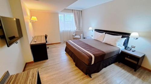 圣地亚哥圣地亚哥阿尔马格罗普罗维登酒店的配有一张床和一台平面电视的酒店客房