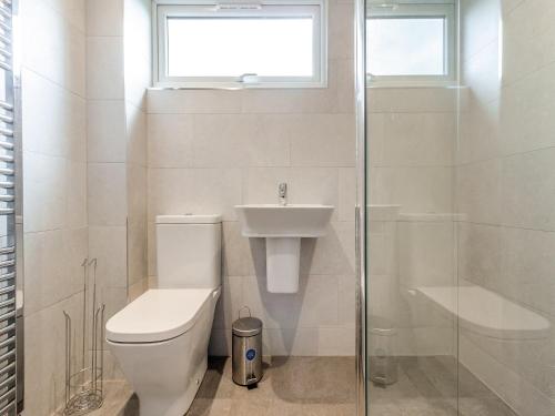 科尔福德Greenacres Cabin的浴室配有卫生间、盥洗盆和淋浴。