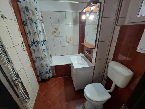 普洛耶什蒂Eugenia Apartament的一间带卫生间和水槽的小浴室