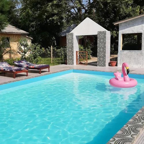 TanjiFranco Inn Guesthouse的水中一个粉红色天鹅的游泳池