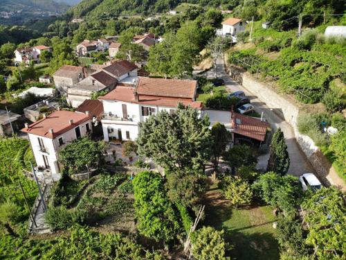 特拉蒙蒂Agriturismo Mare e Monti的村庄房屋的空中景观